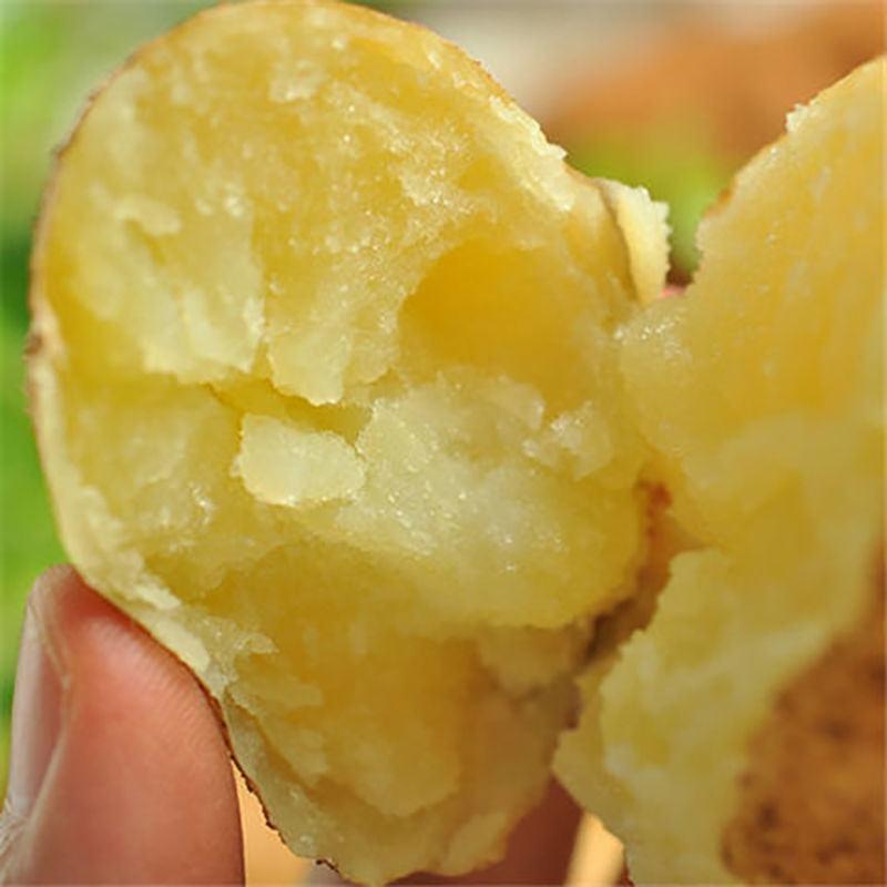 希森土豆土豆产地一手货源，保质保量，欢迎咨询订购