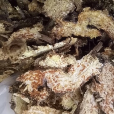 朱砂点苍术片