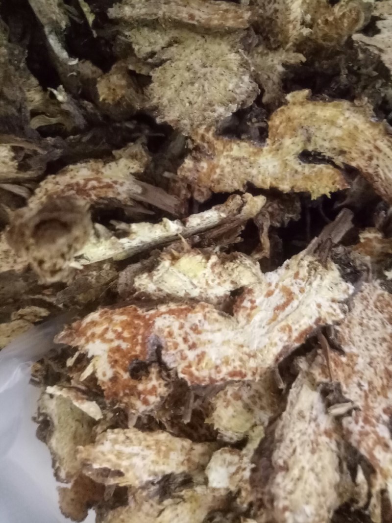 朱砂点苍术片
