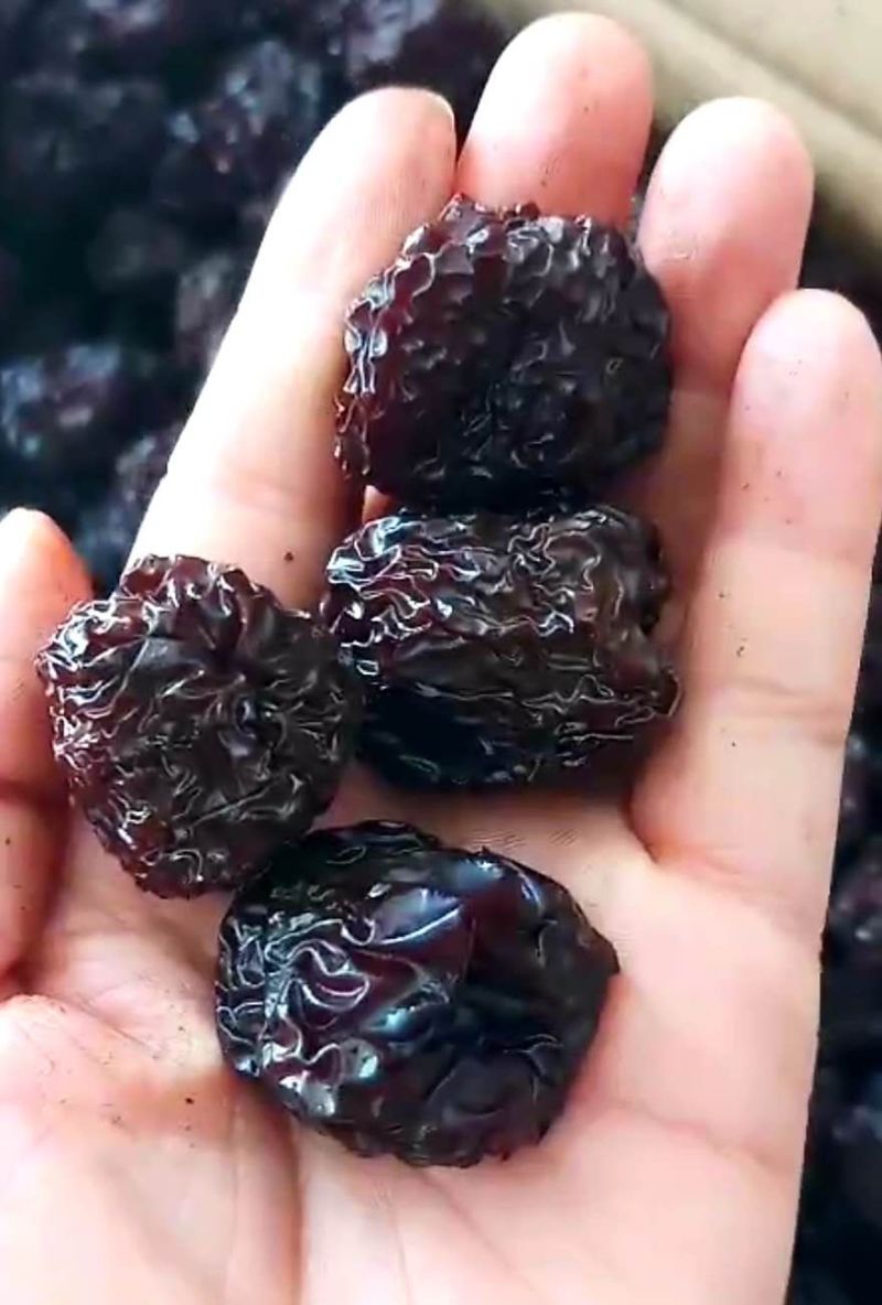 【新品推荐】特产紫晶乌枣黑枣厂家直销规格全价格低