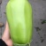 青茄子无子