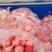 陕西洛川高原红富士高次欢迎各位前来选购品尝