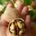 新疆薄皮核桃纸皮核桃33核桃厂家一手货源品质保证