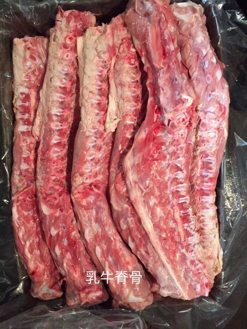 厂家直销精品多肉乳牛脊骨，一手货源质量保证证件齐全量大优