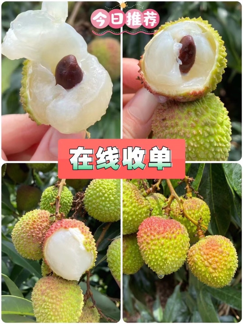 荔枝/妃子笑/肉多核小/甘甜可口/