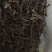 蒲公英根（纯野生黑根、含量高、做茶和饮片的佳品）