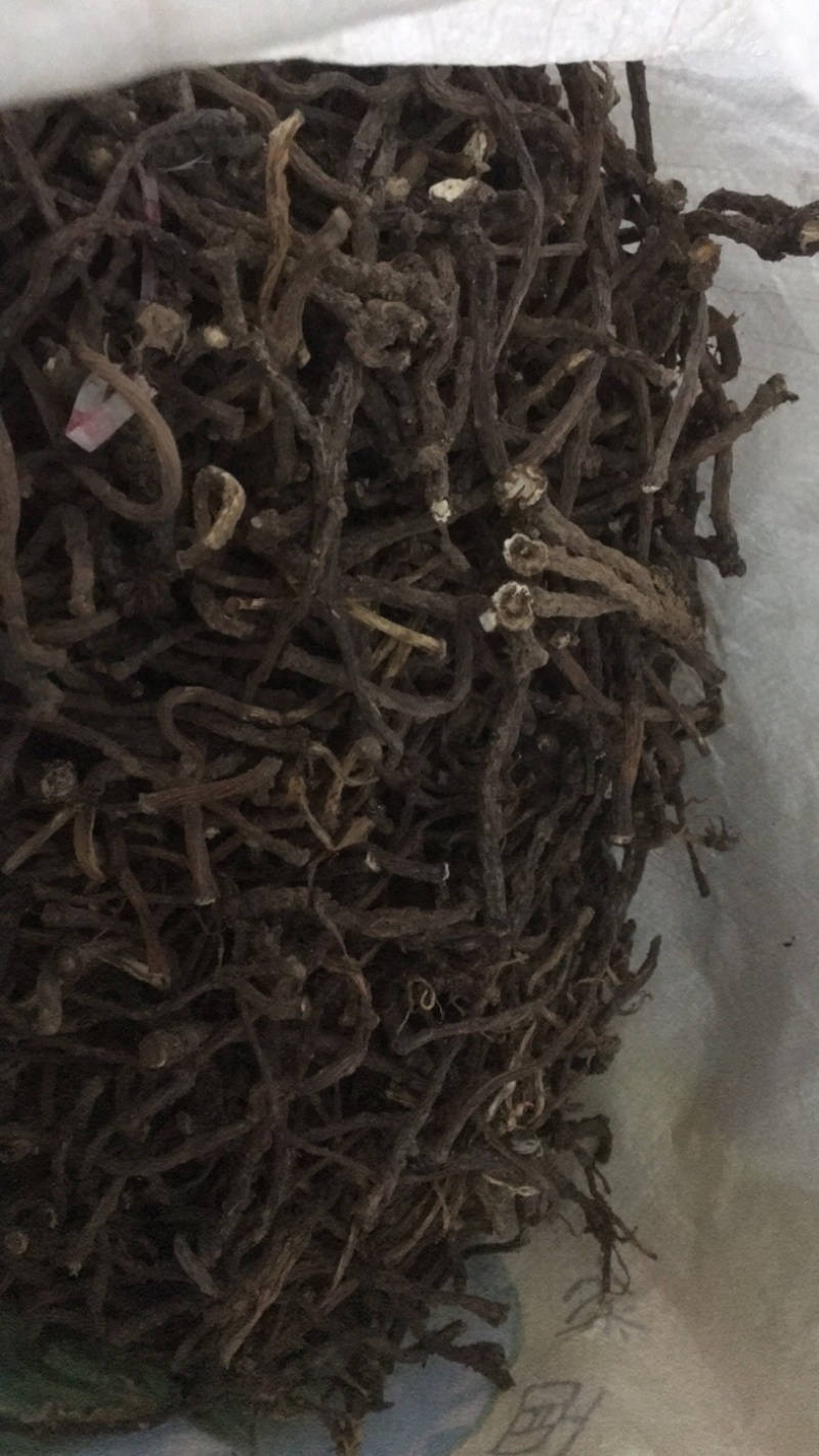 蒲公英根（纯野生黑根、含量高、做茶和饮片的佳品）