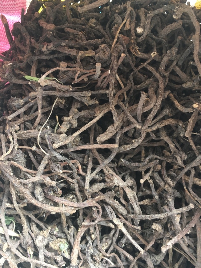 蒲公英根（纯野生黑根、含量高、做茶和饮片的佳品）