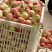 湖北随县桃子已经大量上市了
