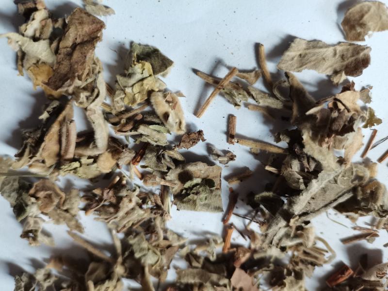 寻骨风批发品种齐全各种中药材批发大货供应