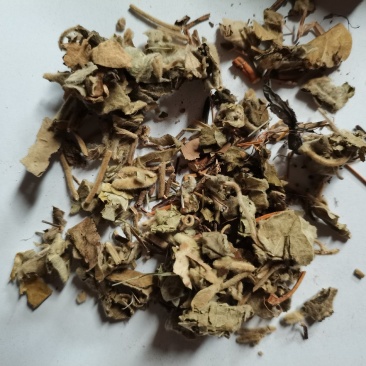 寻骨风批发品种齐全各种中药材批发大货供应