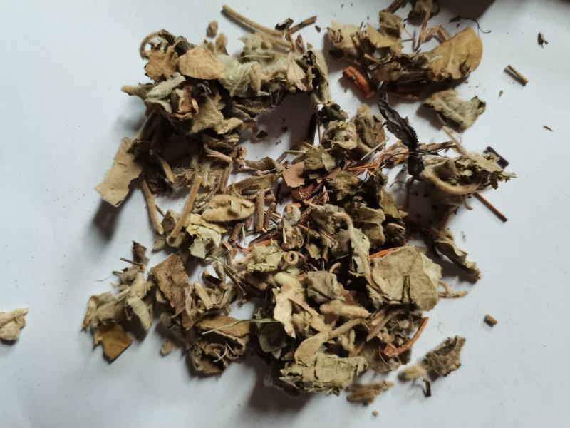 寻骨风批发品种齐全各种中药材批发大货供应