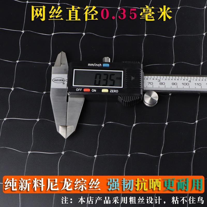尼龙防鸟网天网果园农田鱼塘养殖防鸟网拦鸟网按斤销售