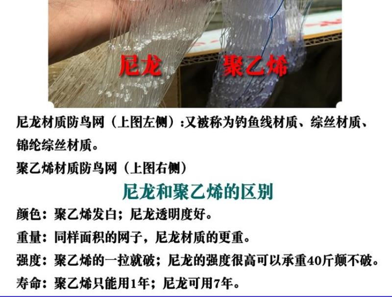 尼龙防鸟网天网果园农田鱼塘养殖防鸟网拦鸟网按斤销售