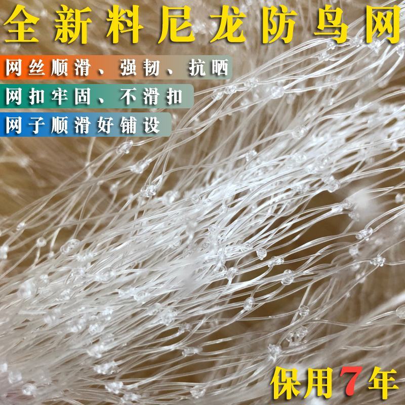 尼龙防鸟网天网果园农田鱼塘养殖防鸟网拦鸟网按斤销售