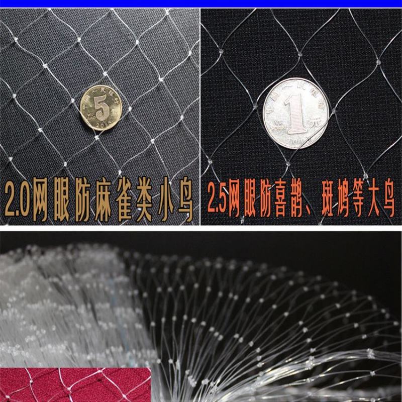 尼龙防鸟网天网果园农田鱼塘养殖防鸟网拦鸟网按斤销售