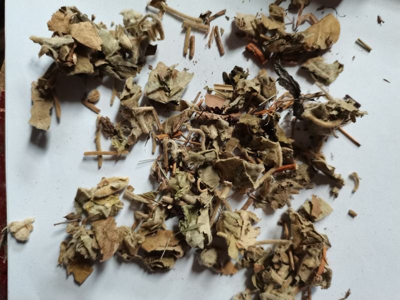寻骨风批发品种齐全各种中药材批发大货供应