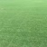 草皮，马尼拉，百慕大，高羊毛，黑麦草混播