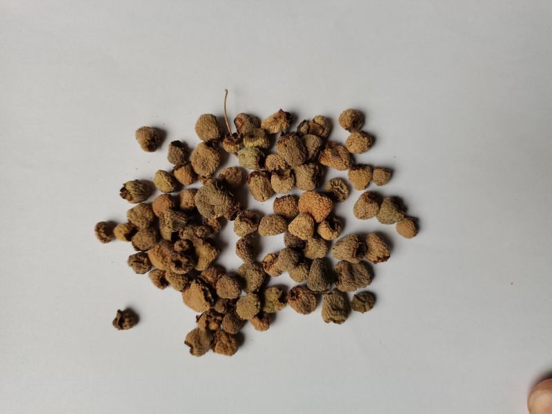 覆盆子1000克批发零售支持混批量大中药材批发