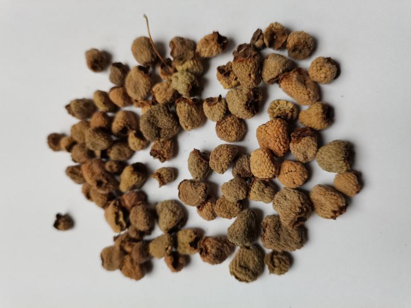 覆盆子1000克批发零售支持混批量大中药材批发