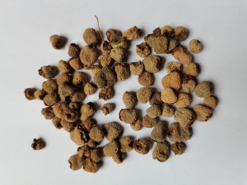 覆盆子1000克批发零售支持混批量大中药材批发