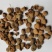 覆盆子1000克批发零售支持混批量大中药材批发