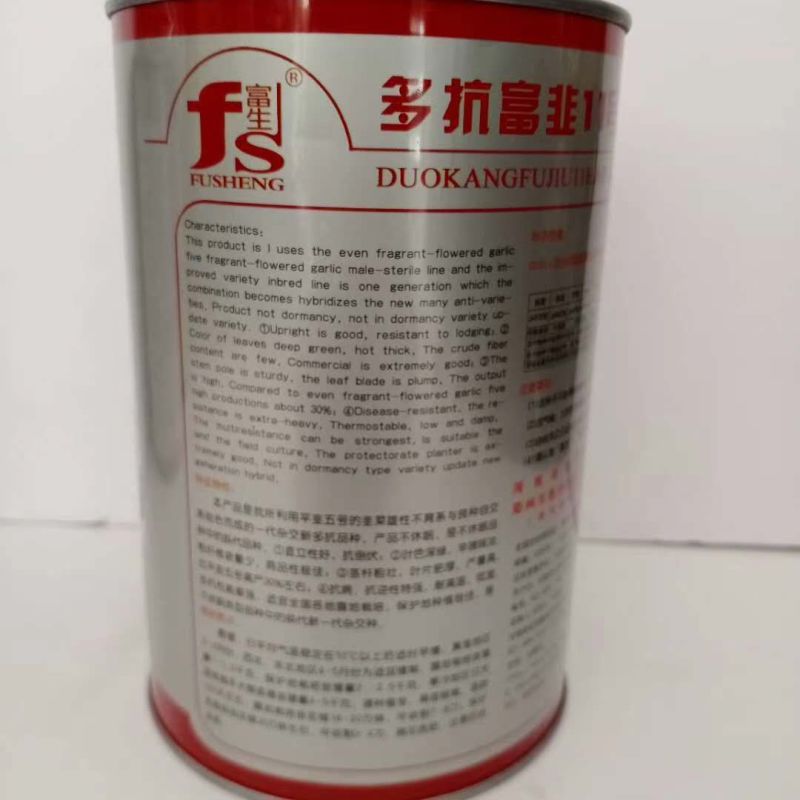 富生韭菜种子多抗寒绿王新韭菜种子，无休眠品种韭菜种子