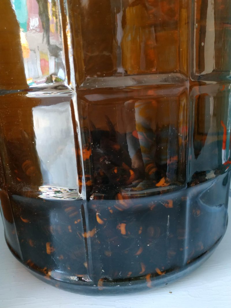 4年土黄蜂酒