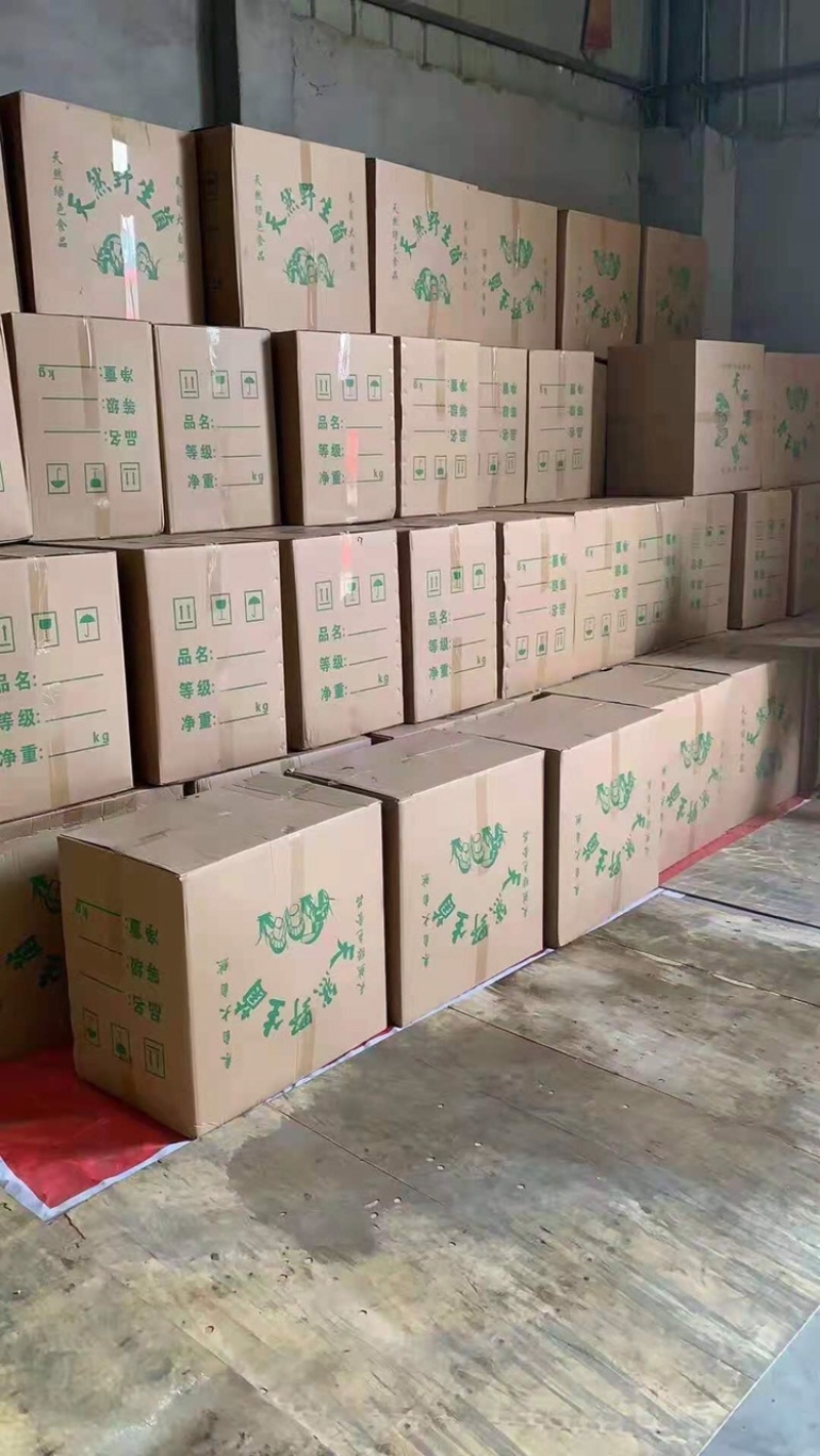 茶树菇厂家批发一手货源，地摊展会批发干度合适