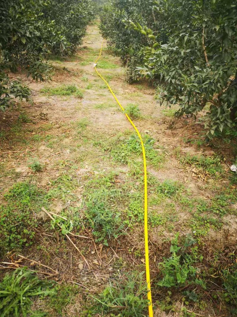 打药管，承压40公斤高压管适合果园山地