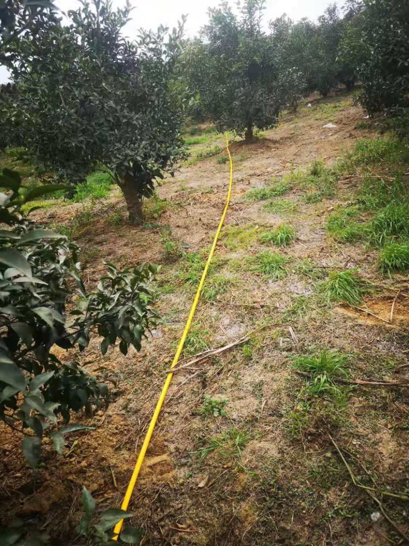 打药管，承压40公斤高压管适合果园山地