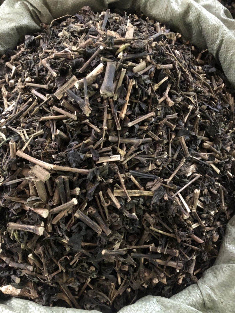 板蓝根（大青叶）批发药材各种规格，量大从优可支持代发
