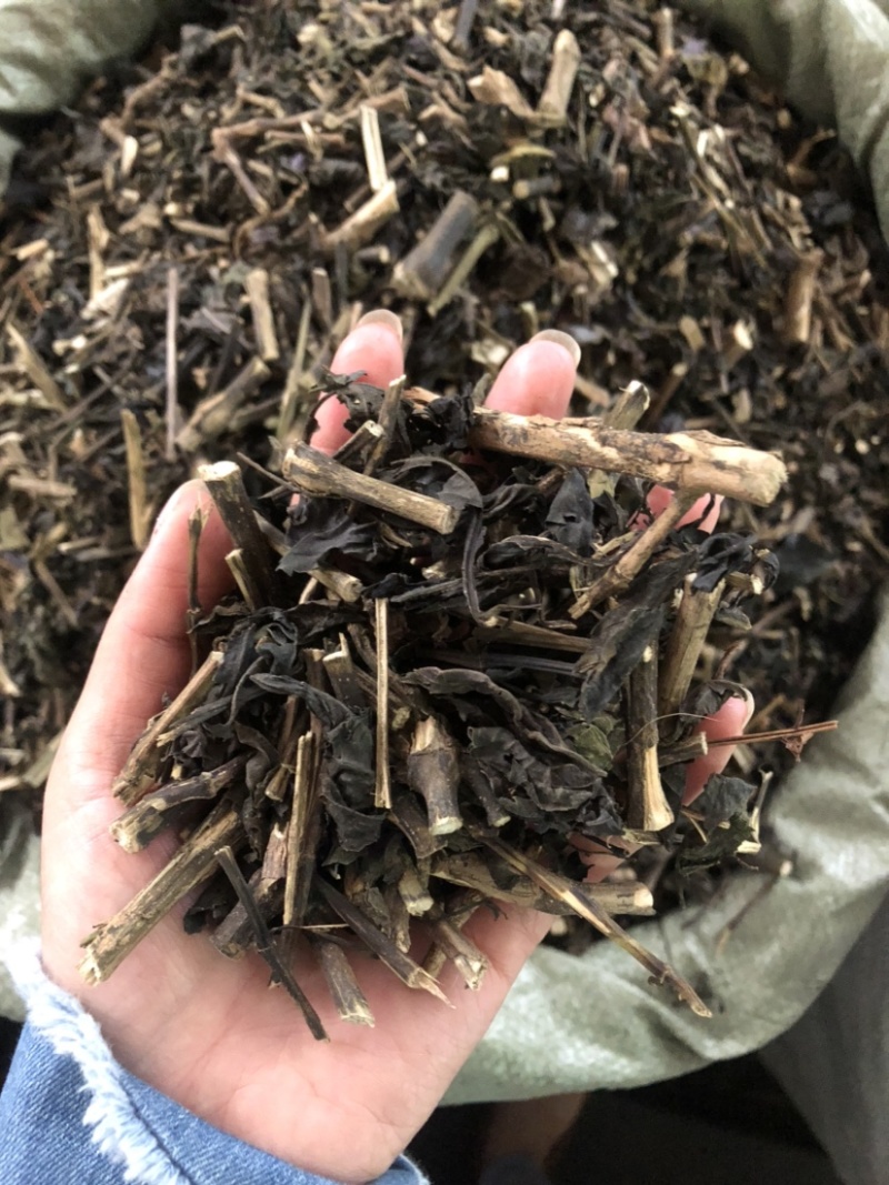 板蓝根（大青叶）批发药材各种规格，量大从优可支持代发