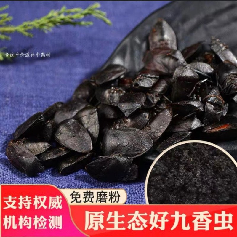 九香虫中药材优质野生九香虫小九香虫干货打屁虫100