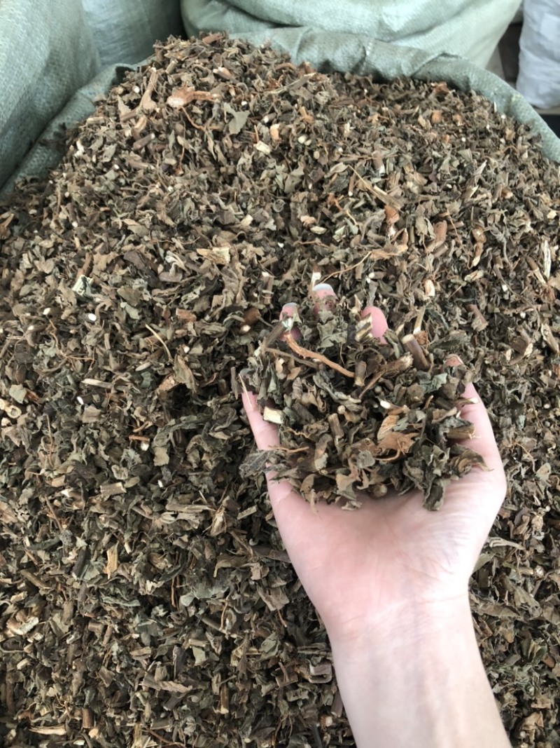 藿香中药材批发，广藿香量大从优，农产品加工大货藿香