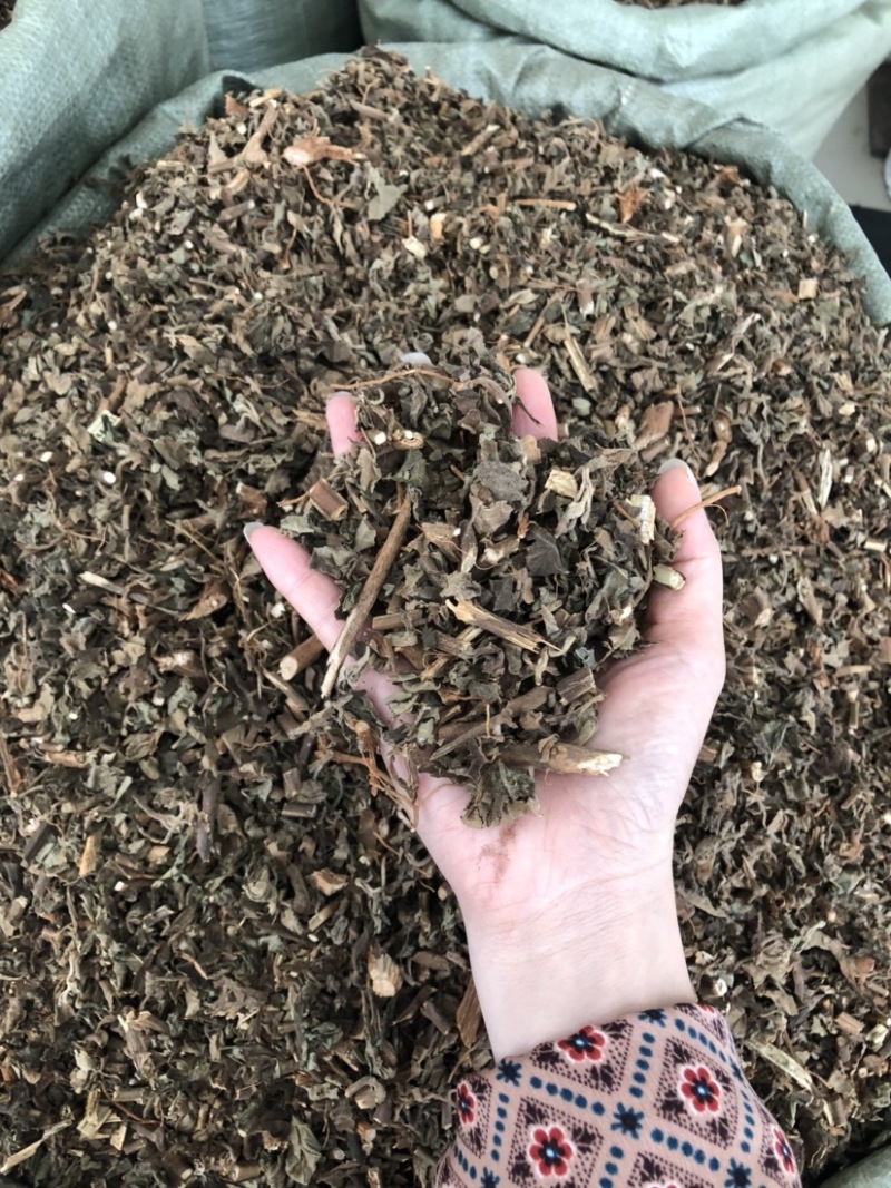 藿香中药材批发，广藿香量大从优，农产品加工大货藿香