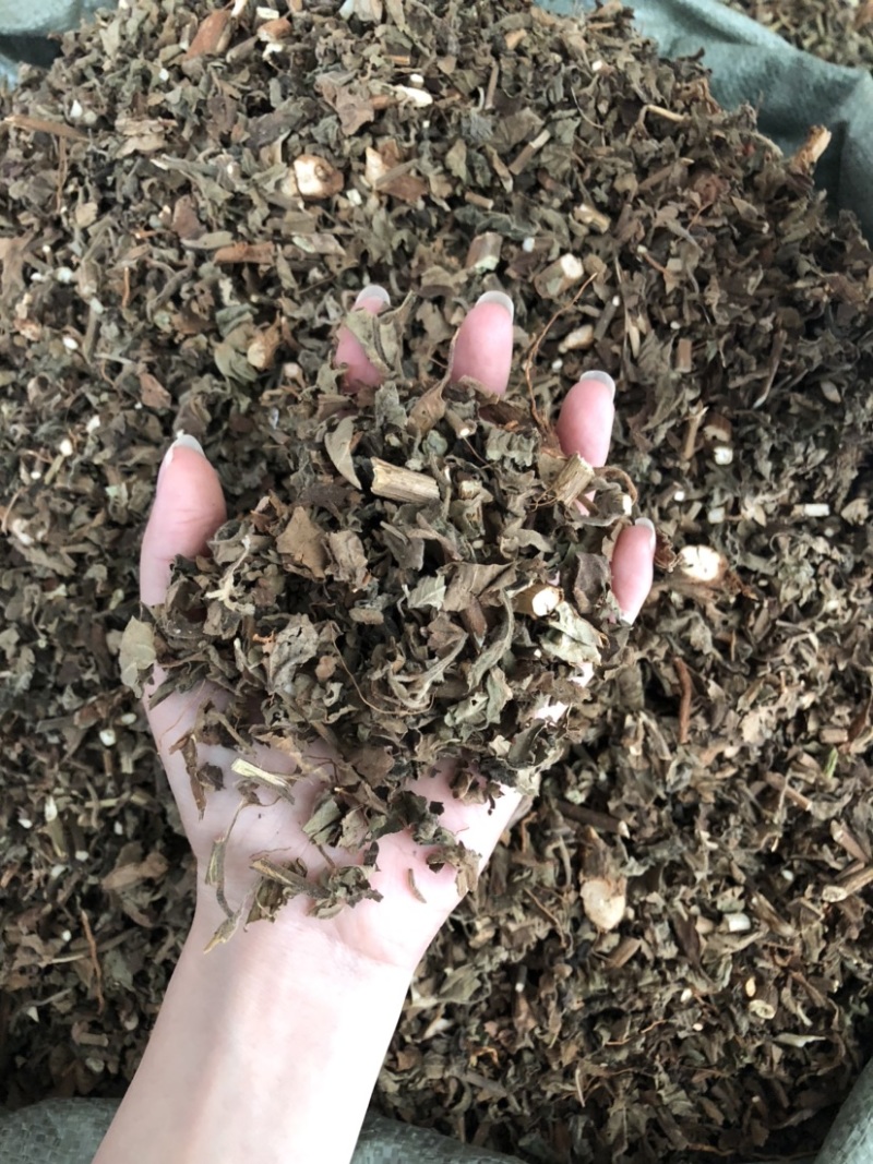 藿香中药材批发，广藿香量大从优，农产品加工大货藿香