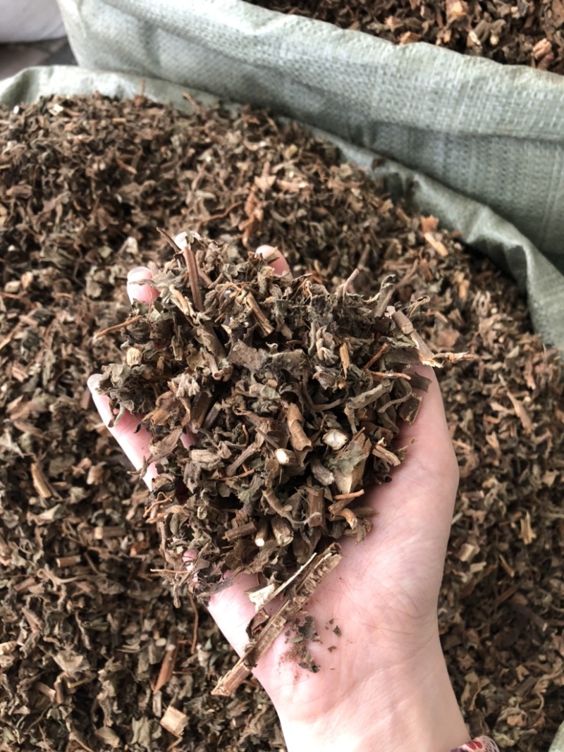 藿香中药材批发，广藿香量大从优，农产品加工大货藿香