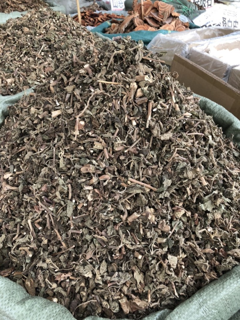 藿香中药材批发，广藿香量大从优，农产品加工大货藿香