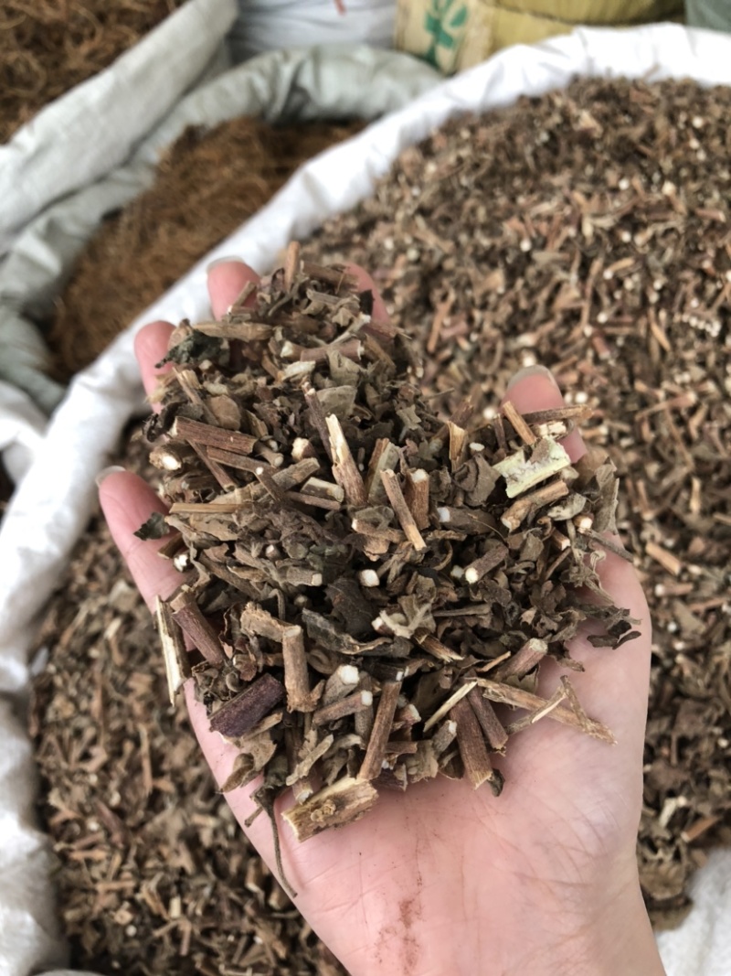 藿香中药材批发，广藿香量大从优，农产品加工大货藿香