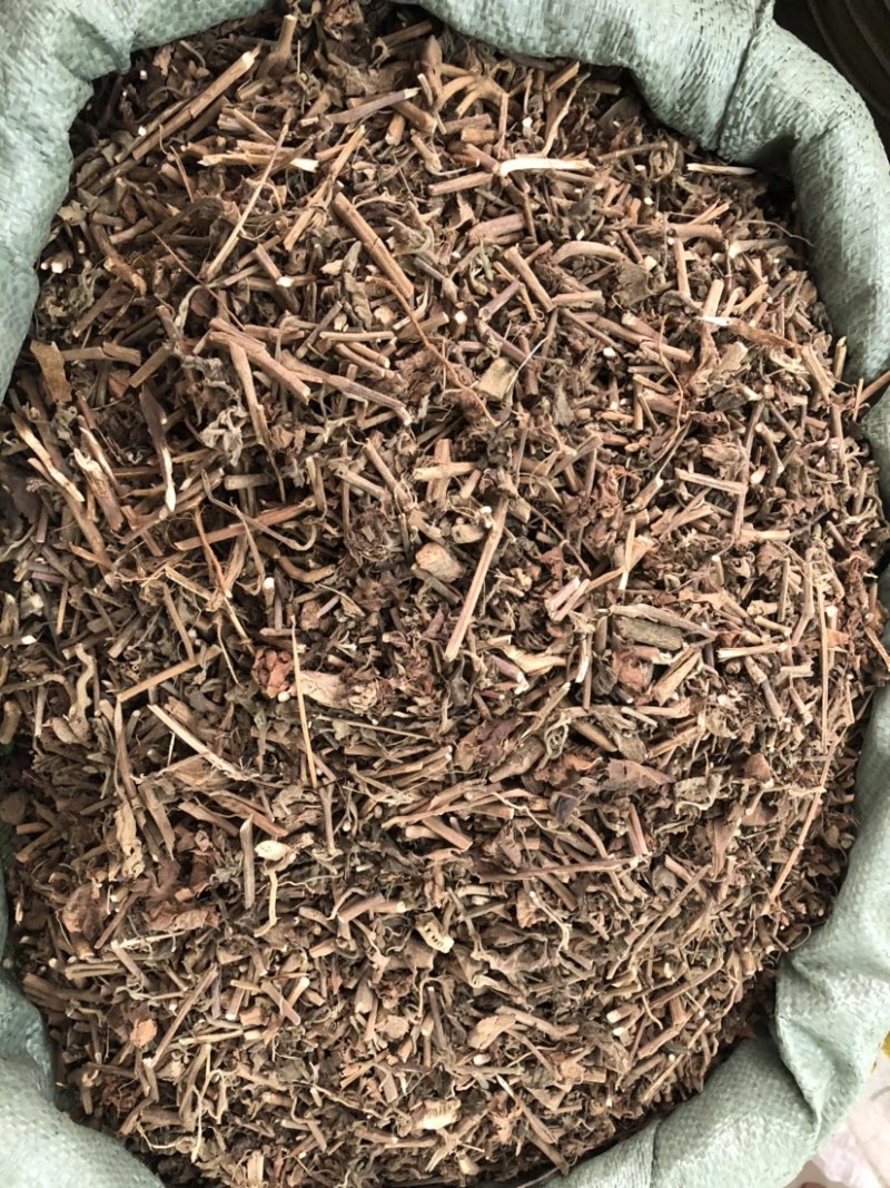 藿香中药材批发，广藿香量大从优，农产品加工大货藿香