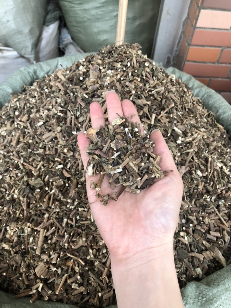 藿香中药材批发，广藿香量大从优，农产品加工大货藿香