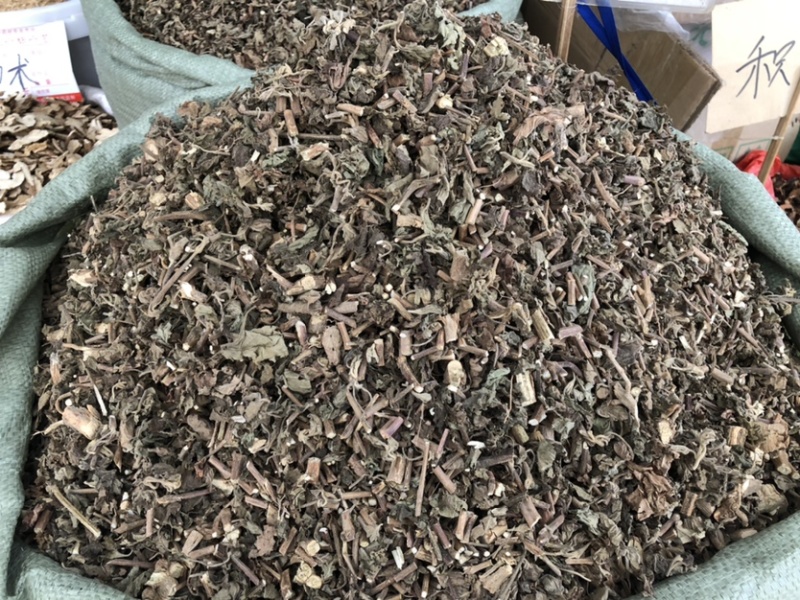 藿香中药材批发，广藿香量大从优，农产品加工大货藿香