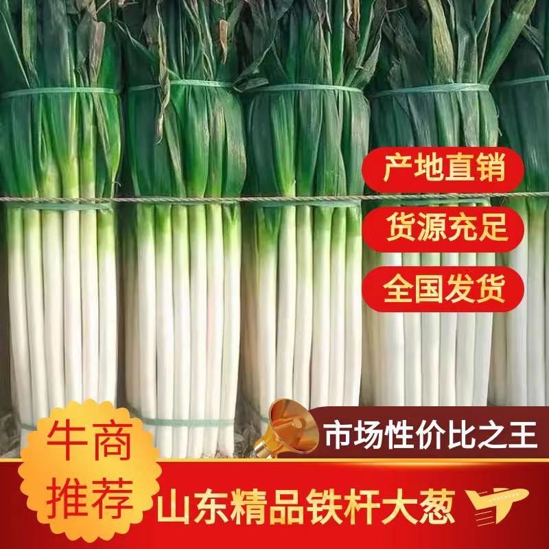 【大葱】山东铁杆大葱一手货源规格齐全坏单包赔