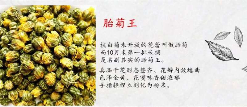 【厂地直销】江苏胎菊王菊花茶花草茶胎菊量大直发