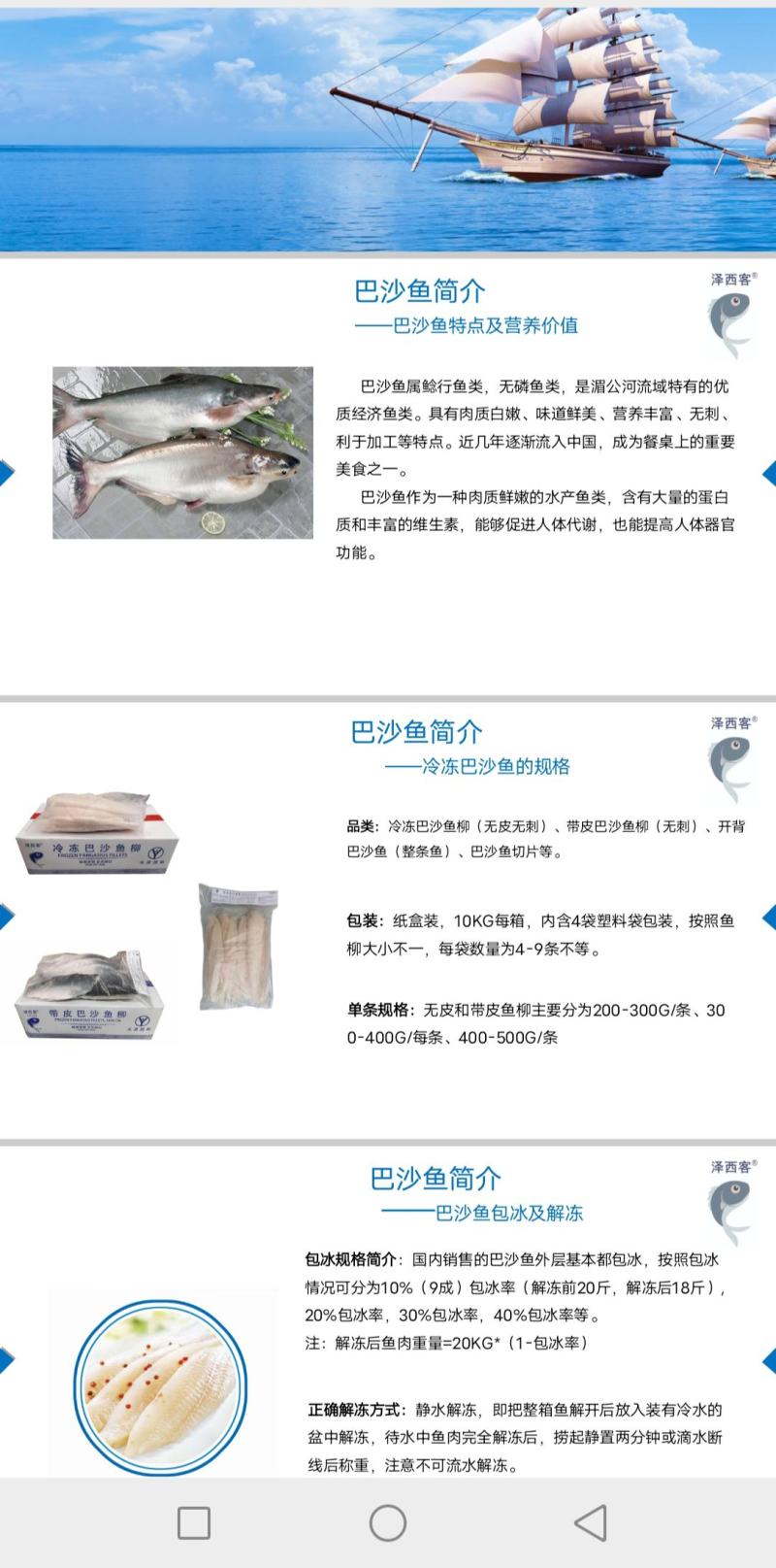正品美标泽西客巴沙鱼厂家直销质量好口感佳
