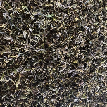【带虫孔的茶叶】没有喷洒农药，纯日照，品之嘉绿茶