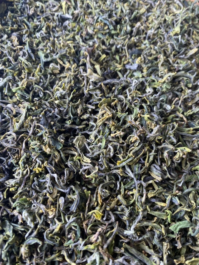 【带虫孔的茶叶】没有喷洒农药，纯日照，品之嘉绿茶