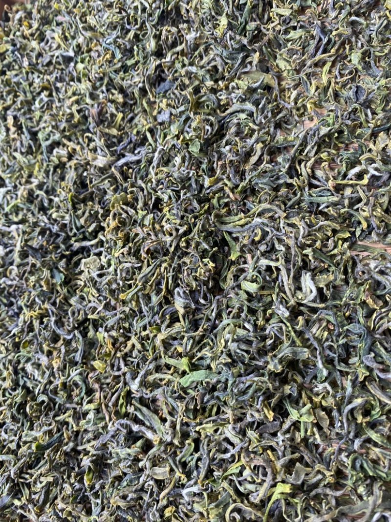 【带虫孔的茶叶】没有喷洒农药，纯日照，品之嘉绿茶
