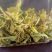 【带虫孔的茶叶】没有喷洒农药，纯日照，品之嘉绿茶